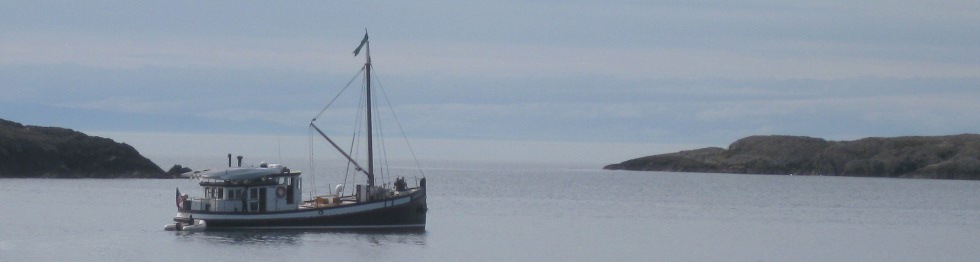 David B in the San Juan Islands