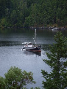 Motor Vessel David B Cruises Motor Vessel David B Cruises