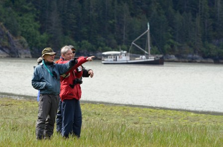 Wildlife Watching on a Alaska Cruise