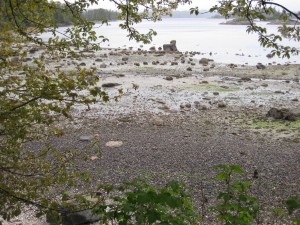 Beach on a Small Ship Inside Passage Cruise