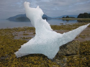 Iceberg on the Beach in Alaska