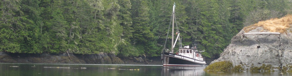 David B Adventure Cruises David B Adventure Cruises