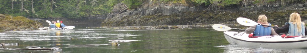 Kayaking on an Inside Passage Cruise