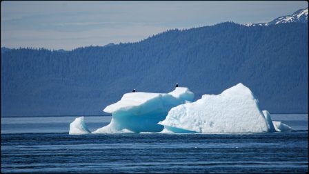 Holkham Bay iceberg from a Alaska Small ship cruise