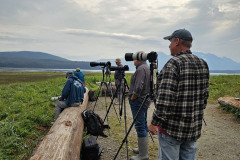 Taking Pictures at Pack Creek