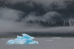 An iceberg calved from Dawes Glacier floats in Endicott Arm. Photo by John D'Onofrio