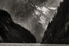 Photo by Al Sanders