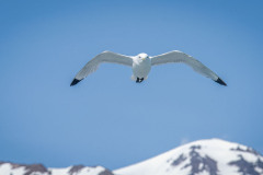 Photo by Christine Smith