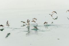 Photo by Christine Smith