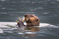 Photo By John D'Onofrio