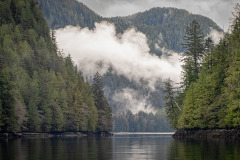 Bottlenck-Inlet