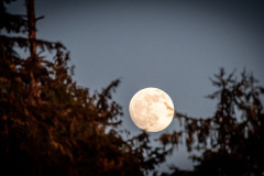Oliver-Cove-Moonrise