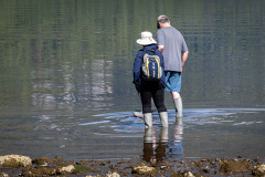 Wading Wading