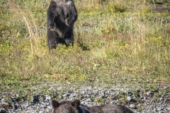 Little-Bear-and-Mom Little-Bear-and-Mom
