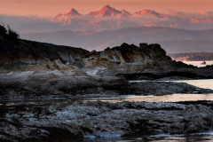 Photo by John D'Onofrio