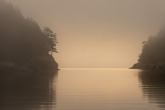 Photo by John D'Onofrio