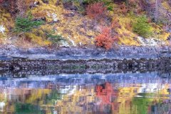 Photo by John D'Onofrio
