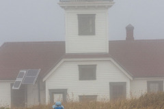 Photo by John D'Onofrio