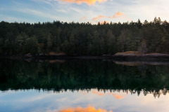 Photo by John D'Onofrio