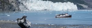 Glacier Bay small ship cruise shore excursion
