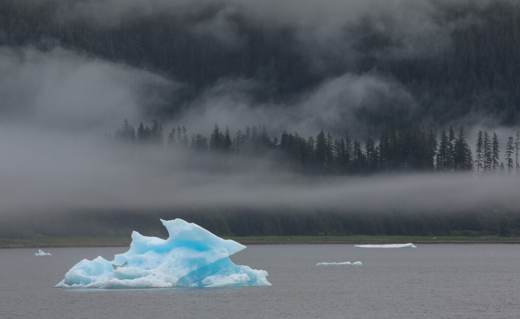 Iceberg in Alaska with old growth forest in the background